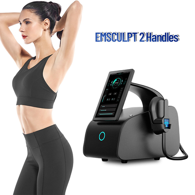 Φορητή μηχανή 4 ing μηχανών EMS Sculpting λαβή