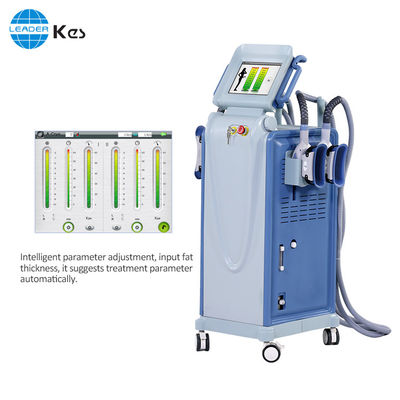 Παχιά μηχανή αδυνατίσματος παγώματος Cryolipolysis ασφάλειας για τη μείωση Cellulite/την απώλεια βάρους