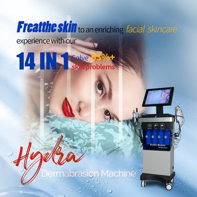 Φροντίδα δέρματος 14 σε 1 Hydra Beauty Water Jet Machine Blackhead Remover Tool